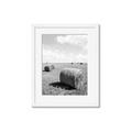 Picture of Hay Bail _GroupedProduct_Rectangle_Portrait_Photography _GroupedProduct_Rectangle_Portrait_Framed_Matted_
