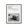 Picture of Hay Bail _GroupedProduct_Rectangle_Portrait_Photography _GroupedProduct_Rectangle_Portrait_Framed_Matted_