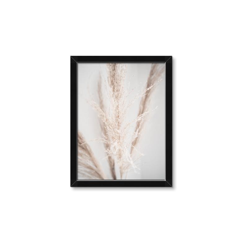 Picture of Whispy Pampas _GroupedProduct_Rectangle_Portrait_Photography _GroupedProduct_Rectangle_Portrait_Framed_Matted_