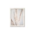 Picture of Whispy Pampas _GroupedProduct_Rectangle_Portrait_Photography _GroupedProduct_Rectangle_Portrait_Framed_Matted_