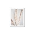 Picture of Whispy Pampas _GroupedProduct_Rectangle_Portrait_Photography _GroupedProduct_Rectangle_Portrait_Framed_Matted_