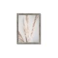 Picture of Whispy Pampas _GroupedProduct_Rectangle_Portrait_Photography _GroupedProduct_Rectangle_Portrait_Framed_Matted_
