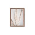 Picture of Whispy Pampas _GroupedProduct_Rectangle_Portrait_Photography _GroupedProduct_Rectangle_Portrait_Framed_Matted_