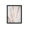Picture of Whispy Pampas _GroupedProduct_Rectangle_Portrait_Photography _GroupedProduct_Rectangle_Portrait_Framed_Matted_