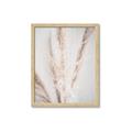Picture of Whispy Pampas _GroupedProduct_Rectangle_Portrait_Photography _GroupedProduct_Rectangle_Portrait_Framed_Matted_