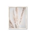 Picture of Whispy Pampas _GroupedProduct_Rectangle_Portrait_Photography _GroupedProduct_Rectangle_Portrait_Framed_Matted_