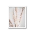 Picture of Whispy Pampas _GroupedProduct_Rectangle_Portrait_Photography _GroupedProduct_Rectangle_Portrait_Framed_Matted_