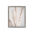 Picture of Whispy Pampas _GroupedProduct_Rectangle_Portrait_Photography _GroupedProduct_Rectangle_Portrait_Framed_Matted_