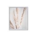 Picture of Whispy Pampas _GroupedProduct_Rectangle_Portrait_Photography _GroupedProduct_Rectangle_Portrait_Framed_Matted_