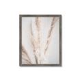 Picture of Whispy Pampas _GroupedProduct_Rectangle_Portrait_Photography _GroupedProduct_Rectangle_Portrait_Framed_Matted_