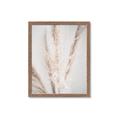 Picture of Whispy Pampas _GroupedProduct_Rectangle_Portrait_Photography _GroupedProduct_Rectangle_Portrait_Framed_Matted_