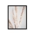 Picture of Whispy Pampas _GroupedProduct_Rectangle_Portrait_Photography _GroupedProduct_Rectangle_Portrait_Framed_Matted_