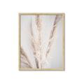 Picture of Whispy Pampas _GroupedProduct_Rectangle_Portrait_Photography _GroupedProduct_Rectangle_Portrait_Framed_Matted_