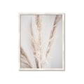 Picture of Whispy Pampas _GroupedProduct_Rectangle_Portrait_Photography _GroupedProduct_Rectangle_Portrait_Framed_Matted_
