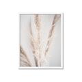Picture of Whispy Pampas _GroupedProduct_Rectangle_Portrait_Photography _GroupedProduct_Rectangle_Portrait_Framed_Matted_