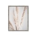 Picture of Whispy Pampas _GroupedProduct_Rectangle_Portrait_Photography _GroupedProduct_Rectangle_Portrait_Framed_Matted_
