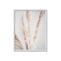 Picture of Whispy Pampas _GroupedProduct_Rectangle_Portrait_Photography _GroupedProduct_Rectangle_Portrait_Framed_Matted_