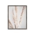 Picture of Whispy Pampas _GroupedProduct_Rectangle_Portrait_Photography _GroupedProduct_Rectangle_Portrait_Framed_Matted_