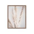 Picture of Whispy Pampas _GroupedProduct_Rectangle_Portrait_Photography _GroupedProduct_Rectangle_Portrait_Framed_Matted_