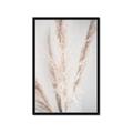 Picture of Whispy Pampas _GroupedProduct_Rectangle_Portrait_Photography _GroupedProduct_Rectangle_Portrait_Framed_Matted_