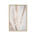 Picture of Whispy Pampas _GroupedProduct_Rectangle_Portrait_Photography _GroupedProduct_Rectangle_Portrait_Framed_Matted_