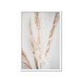 Picture of Whispy Pampas _GroupedProduct_Rectangle_Portrait_Photography _GroupedProduct_Rectangle_Portrait_Framed_Matted_