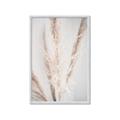 Picture of Whispy Pampas _GroupedProduct_Rectangle_Portrait_Photography _GroupedProduct_Rectangle_Portrait_Framed_Matted_