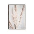 Picture of Whispy Pampas _GroupedProduct_Rectangle_Portrait_Photography _GroupedProduct_Rectangle_Portrait_Framed_Matted_
