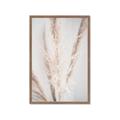 Picture of Whispy Pampas _GroupedProduct_Rectangle_Portrait_Photography _GroupedProduct_Rectangle_Portrait_Framed_Matted_