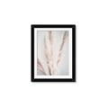 Picture of Whispy Pampas _GroupedProduct_Rectangle_Portrait_Photography _GroupedProduct_Rectangle_Portrait_Framed_Matted_