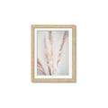 Picture of Whispy Pampas _GroupedProduct_Rectangle_Portrait_Photography _GroupedProduct_Rectangle_Portrait_Framed_Matted_