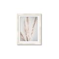 Picture of Whispy Pampas _GroupedProduct_Rectangle_Portrait_Photography _GroupedProduct_Rectangle_Portrait_Framed_Matted_