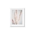 Picture of Whispy Pampas _GroupedProduct_Rectangle_Portrait_Photography _GroupedProduct_Rectangle_Portrait_Framed_Matted_