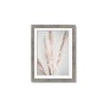 Picture of Whispy Pampas _GroupedProduct_Rectangle_Portrait_Photography _GroupedProduct_Rectangle_Portrait_Framed_Matted_