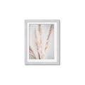 Picture of Whispy Pampas _GroupedProduct_Rectangle_Portrait_Photography _GroupedProduct_Rectangle_Portrait_Framed_Matted_