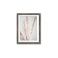 Picture of Whispy Pampas _GroupedProduct_Rectangle_Portrait_Photography _GroupedProduct_Rectangle_Portrait_Framed_Matted_