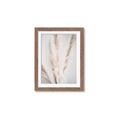 Picture of Whispy Pampas _GroupedProduct_Rectangle_Portrait_Photography _GroupedProduct_Rectangle_Portrait_Framed_Matted_