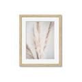 Picture of Whispy Pampas _GroupedProduct_Rectangle_Portrait_Photography _GroupedProduct_Rectangle_Portrait_Framed_Matted_