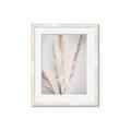 Picture of Whispy Pampas _GroupedProduct_Rectangle_Portrait_Photography _GroupedProduct_Rectangle_Portrait_Framed_Matted_