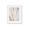Picture of Whispy Pampas _GroupedProduct_Rectangle_Portrait_Photography _GroupedProduct_Rectangle_Portrait_Framed_Matted_