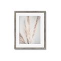 Picture of Whispy Pampas _GroupedProduct_Rectangle_Portrait_Photography _GroupedProduct_Rectangle_Portrait_Framed_Matted_
