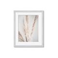 Picture of Whispy Pampas _GroupedProduct_Rectangle_Portrait_Photography _GroupedProduct_Rectangle_Portrait_Framed_Matted_