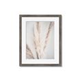 Picture of Whispy Pampas _GroupedProduct_Rectangle_Portrait_Photography _GroupedProduct_Rectangle_Portrait_Framed_Matted_
