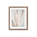 Picture of Whispy Pampas _GroupedProduct_Rectangle_Portrait_Photography _GroupedProduct_Rectangle_Portrait_Framed_Matted_