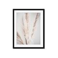 Picture of Whispy Pampas _GroupedProduct_Rectangle_Portrait_Photography _GroupedProduct_Rectangle_Portrait_Framed_Matted_