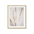 Picture of Whispy Pampas _GroupedProduct_Rectangle_Portrait_Photography _GroupedProduct_Rectangle_Portrait_Framed_Matted_