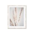 Picture of Whispy Pampas _GroupedProduct_Rectangle_Portrait_Photography _GroupedProduct_Rectangle_Portrait_Framed_Matted_