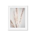Picture of Whispy Pampas _GroupedProduct_Rectangle_Portrait_Photography _GroupedProduct_Rectangle_Portrait_Framed_Matted_