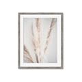 Picture of Whispy Pampas _GroupedProduct_Rectangle_Portrait_Photography _GroupedProduct_Rectangle_Portrait_Framed_Matted_
