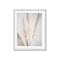 Picture of Whispy Pampas _GroupedProduct_Rectangle_Portrait_Photography _GroupedProduct_Rectangle_Portrait_Framed_Matted_